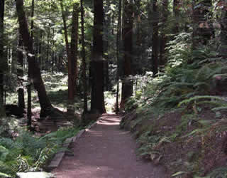 One of the many trails accessible here at Pacific Trails.